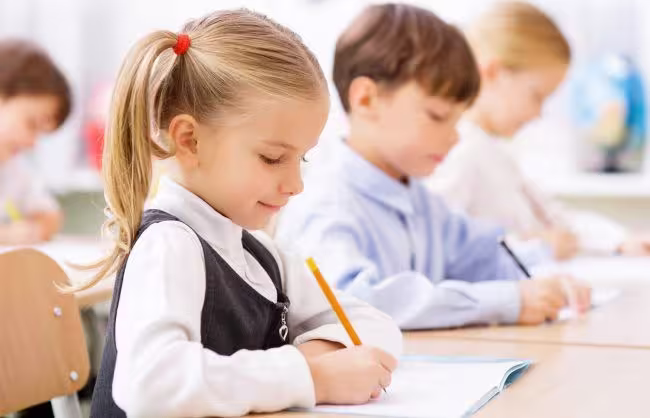 نظریه هوش های چندگانه گاردنر چیست؟